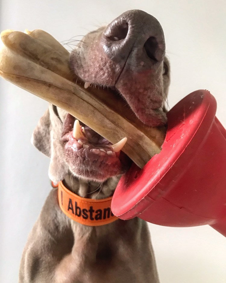 Boneguard