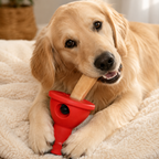 Kaukäse Reststück Hund